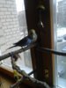 20170326_150751.jpg