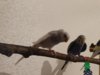 DSC01526.JPG
