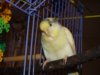 DSC01523.JPG
