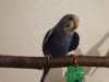 DSC01527.JPG
