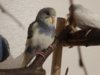 DSC01531.JPG