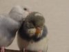 DSC01521.JPG