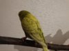 DSC01530.JPG