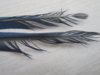 DSCN8200.JPG