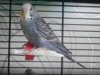 DSCN8195.JPG