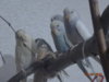 DSC01550.JPG