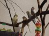 DSC01551.JPG