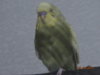 DSC01545.JPG
