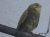 DSC01546.JPG