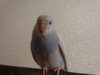 DSC01537.JPG