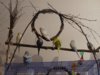 DSC01533.JPG