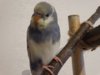 DSC01539.JPG