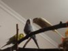 DSC01552.JPG