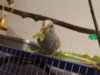 DSC01554.JPG