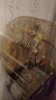 P_20170403_232425_vHDR_Auto.jpg