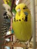 20170405_083925.jpg