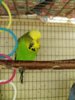 20170405_083940.jpg