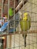 20170405_083839.jpg