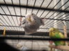 DSCN8242.JPG