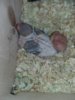 20170323_002749.jpg