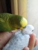 20170401_141849.jpg
