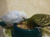 20170404_214014.jpg