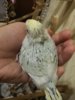 20170404_213133.jpg
