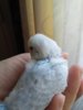 20170401_141845.jpg