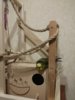 20170210_192627.jpg