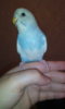 IMG-20170407-WA0006.jpeg