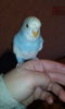 IMG-20170407-WA0009.jpeg