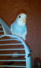 IMG-20170407-WA0013.jpeg