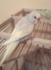 2017-04-07_223409.jpg
