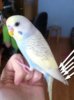 2017-04-07_223313.jpg