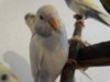 DSC01573.JPG