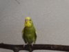DSC01565.JPG