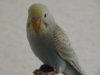 DSC01569.JPG