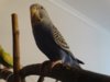 DSC01571.JPG