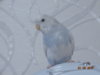 DSC01579.JPG