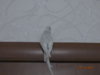 DSC01581.JPG