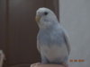 DSC01580.JPG