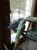 20170408_151118.jpg