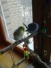 20170408_151248.jpg
