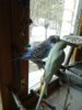 20170408_151116.jpg