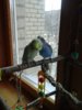 20170408_151100.jpg