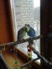 20170408_151050.jpg