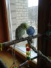 20170408_151038.jpg