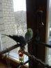 20170408_150452.jpg