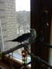 20170408_150451.jpg