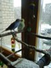 20170408_150432.jpg